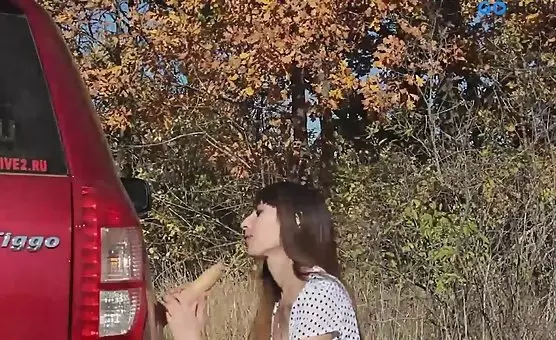 Dildo Attached Car Orgies
