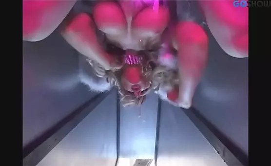 Busty angel infiltrates her cunt with a dildo